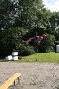 Camp 2011 (802)
